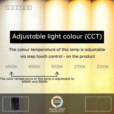 Lucide SKANSKA RECH - Rechargeable Floor lamp Indoor/Outdoor - Battery pack - Ø 23 cm - LED Dim. - CCT - 1x3W 3000K/6000K - IP44 - Grey iron